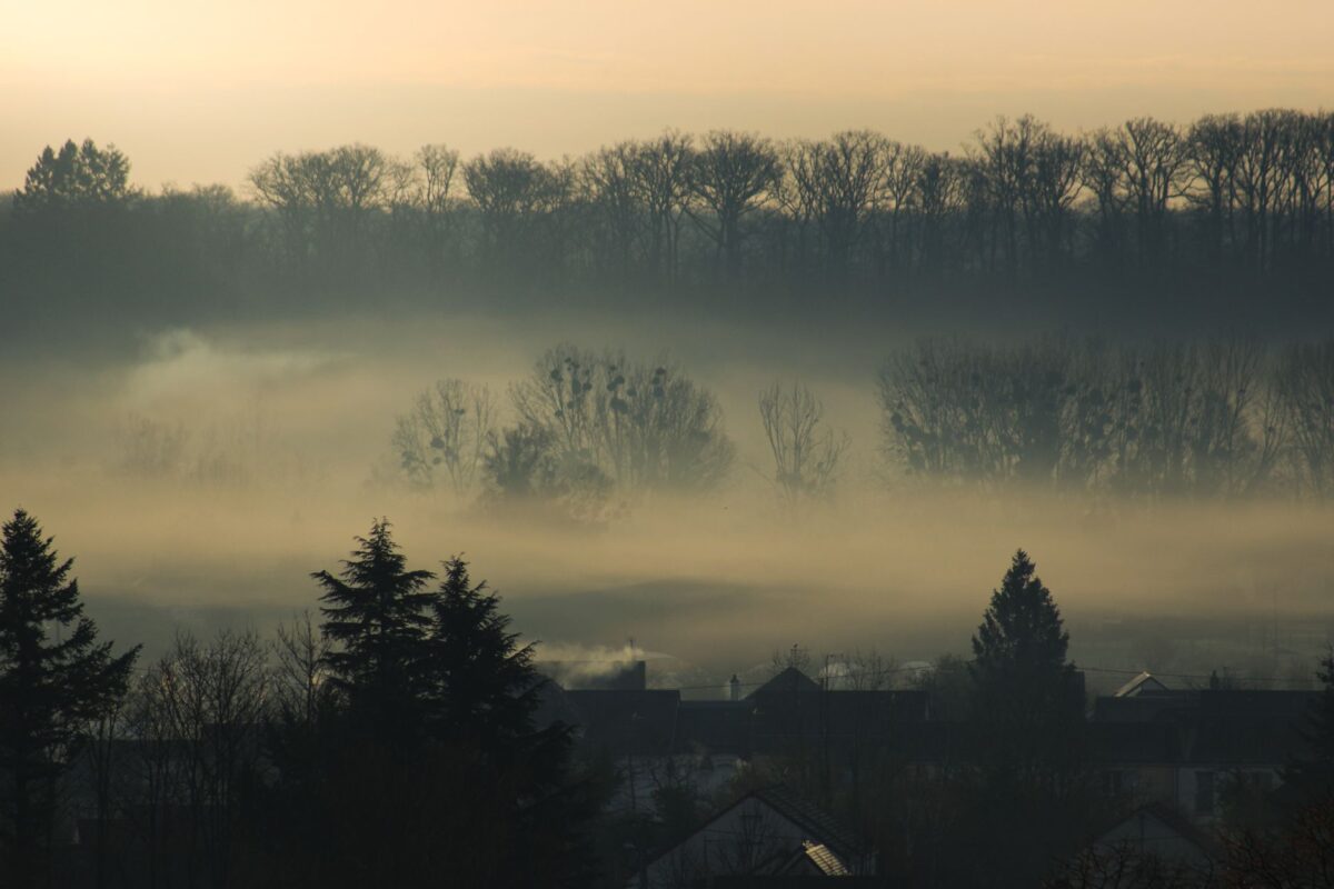 Captivating sunrise over a foggy landscape in Blois, France with misty trees and houses.